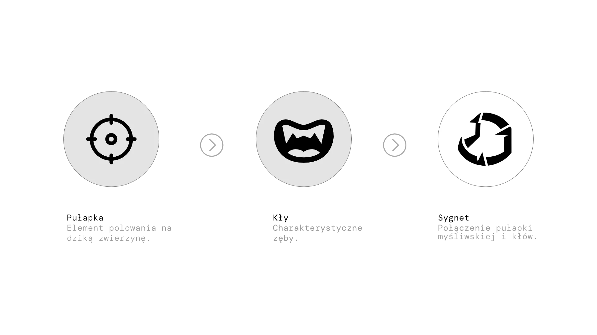 The mount feral Fajna marka kolarska Naming logo branding Max Barszczewski 5.1 Max Barszczewski